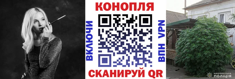Шишки марихуана индика  где можно купить наркотик  Тихвин 